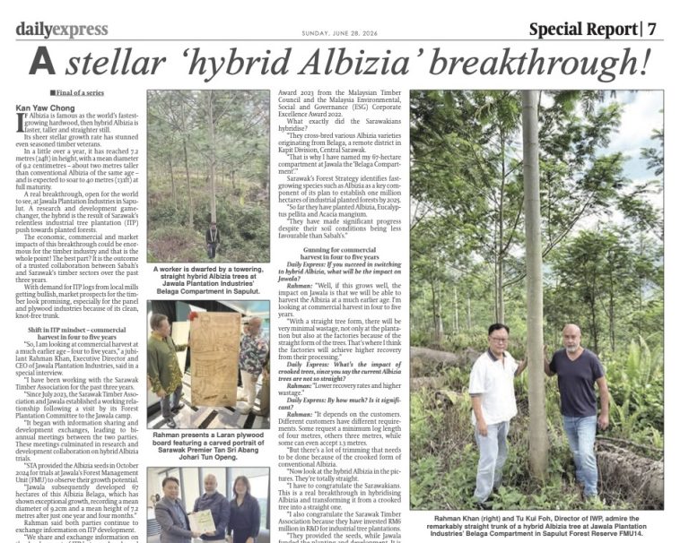 Jawala Achieves Breakthrough with Hybrid Albizia Development
